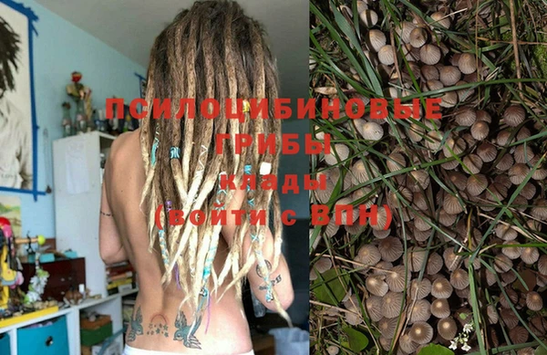 ГАЛЛЮЦИНОГЕННЫЕ ГРИБЫ Алзамай