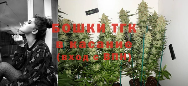 ГАЛЛЮЦИНОГЕННЫЕ ГРИБЫ Алзамай